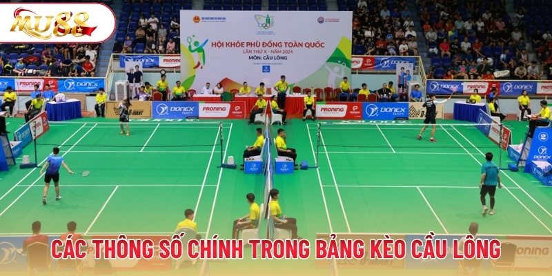 Các thông số chính trong bảng kèo cầu lông